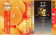 C39-43.極撰 柑橘 “ 雅 ” 光センサー 合格品・プルプル食感「 マドンナ 」 ２キロ