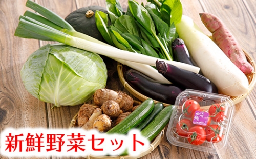 近江野菜詰め合せセット【1.5kg～2kg】【K002SM】
