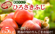 青森りんご 早生ふじの代表格 ひろさきふじ 約5kg 【マルス果樹園】 ふじ りんご リンゴ 林檎 アップル 果物 くだもの フルーツ あおもり 青森 青森県 南部町 三戸 南部 3kg 以上 F21U-241
