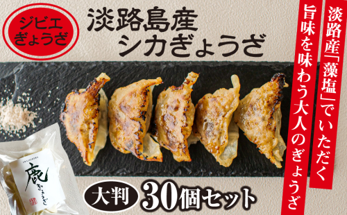 【ジビエぎょうざ】淡路島産シカぎょうざ大判30個セット 476169 - 兵庫県淡路市