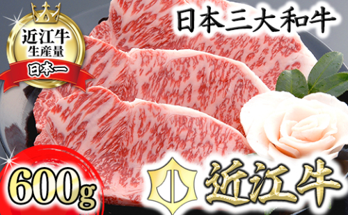 【４等級以上の未経産牝牛限定】近江牛サーロインステーキ【600ｇ（200ｇ×3枚）】【AF04W】 47618 - 滋賀県近江八幡市