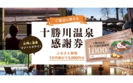 十勝川温泉モール温泉感謝券3,000円分【T-10000】