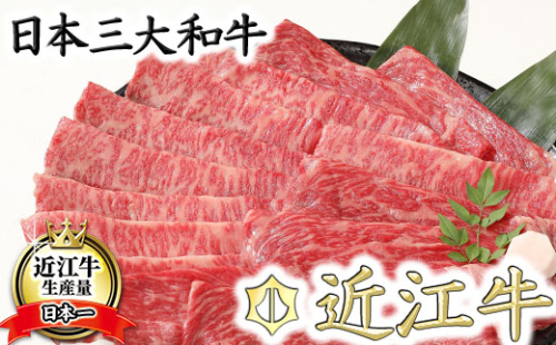 【4等級以上】厳選　近江牛　すき焼き・しゃぶしゃぶ【500g】【BS01W】 47631 - 滋賀県近江八幡市