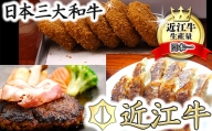 近江牛お惣菜セット（コロッケ、ミンチカツ、ハンバーグ、餃子）【N009SM】