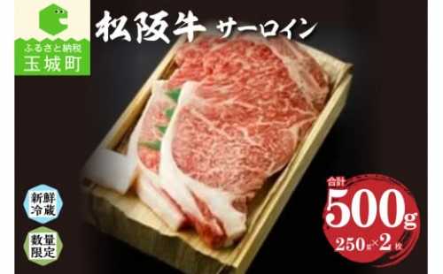 松阪肉サーロイン 250g×2枚