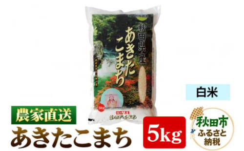 農家直送 あきたこまち 5kg 令和6年産 米 白米 田口商店