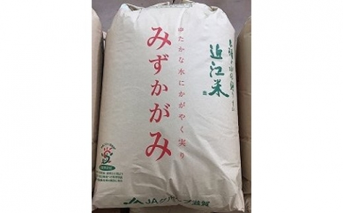 【新米】【令和4年産】環境こだわり米「みずかがみ」玄米【30kg×1袋】【K073SM】