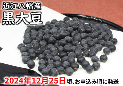 	【令和6年12月25日頃より発送】令和6年産　黒豆【500g】【AB54U】 47705 - 滋賀県近江八幡市