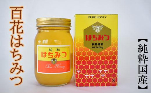 ［純粋国産］和歌山県産百花はちみつ600g★2027年1月下旬より発送［TM56］ 477293 - 和歌山県海南市