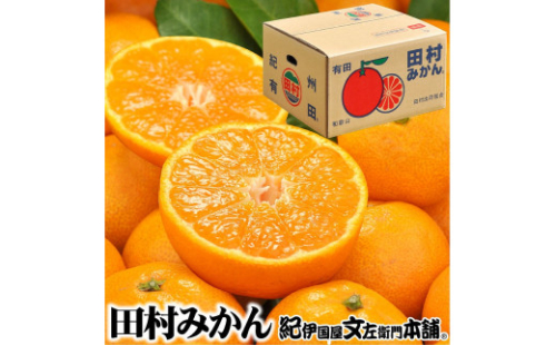 田村みかん5kg秀品【小玉】／紀伊国屋文左衛門本舗 479382 - 和歌山県九度山町