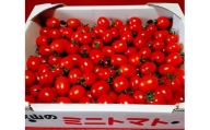 ゆらミニトマト 2kg×1箱　 和歌山県由良町産
