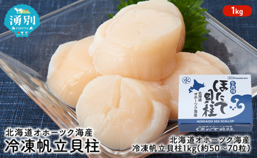北海道 オホーツク海産 冷凍 帆立 貝柱 1kg ほたて ホタテ 刺身 玉冷 海鮮 魚介 国産 サロマ湖 魚貝類  48026 - 北海道湧別町