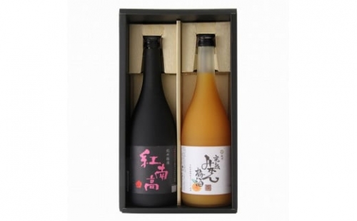 和歌山の贅沢梅酒ギフトセット(紅南高・完熟みかん梅酒) 480740 - 和歌山県由良町