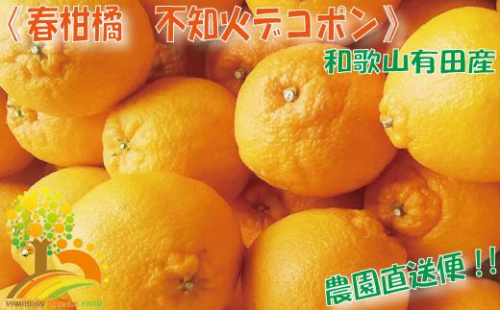 \農家直送/こだわりのデコポン不知火 約5kg 有機質肥料 481740 - 和歌山県九度山町