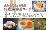 【3か月定期便】日本三大地鶏！！　本当に美味しい食べ物は調味料の味に負けません！「純系　名古屋コーチンの卵」（30個）