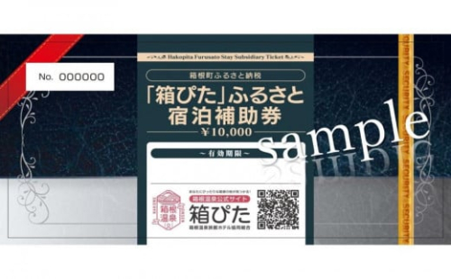 【箱根町】箱ぴたふるさと宿泊補助券（20,000円分） | 旅行 観光 旅行券 旅行クーポン クーポン 箱根町ふるさと納税 神奈川県ふるさと納税 神奈川県 箱根町