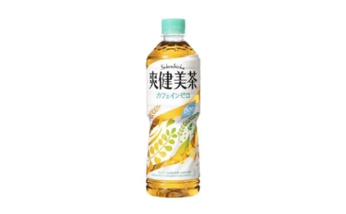 コカ・コーラ 爽健美茶 600ml × 24本 １ケース 【 お茶 ドリンク ドリンクお茶 ペットボトル ペットボトルお茶 箱 和歌山県 海南市 AX42-NT 】