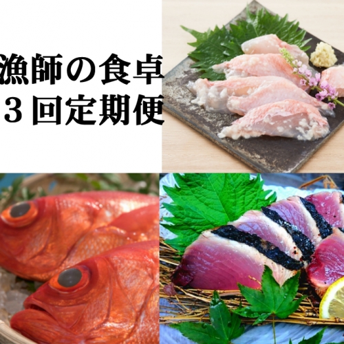 漁師の食卓定期便【３回お届け】 48475 - 高知県室戸市