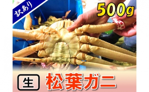 サイズ変更オプション 残りわずか!!【訳あり】ボイルズワイ蟹 足3kg