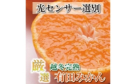 [1月より発送]厳選 越冬完熟みかん2kg+60g(傷み補償分)