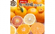 ＜1月より発送＞厳選 旬の 柑橘詰合せ3kg+90g（傷み補償分）