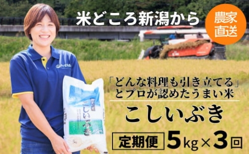 【新米】プロが認めたうまい米『こしいぶき』定期便５ｋｇ×３ヶ月お届け　新潟県糸魚川産　農家直送　おいしいお米をお届けします