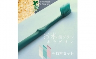 歯ブラシ 12本 （3色×4本） ホワイト グリーン ピンク お米でできた歯ブラシ キラグリン |B62