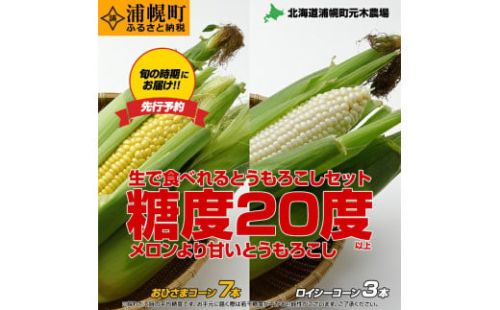 とうもろこし2種セット  合計10本（おひさまコーン７本、ロイシーコーン３本） 元木農場 北海道浦幌町産 生でも食べられる糖度20度以上 朝もぎたてとうもろこし 旬の時期にお届け 朝採り【8月下旬-9月中旬より順次出荷】