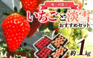 陽一郎園のおすすめいちごと淡雪のセット4パック イチゴ 苺 果物 くだもの フルーツ 食べ比べ 数量限定 F4H-0035