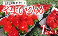 陽一郎園のいちご「やよいひめ」 1kg以上 いちご イチゴ 苺 期間限定 フルーツ 果物 F4H-0036