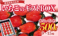 群馬県渋川市産 いちご「やよいひめ」ギフトBOX いちご イチゴ 苺 フルーツ 果物 F4H-0067