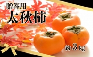 【 贈答用 】 太秋柿 約3kg 玉名市産 | フルーツ 果物 くだもの カキ 柿 ギフト 贈答 熊本県 玉名市