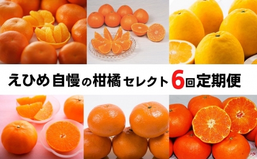 えひめの柑橘セレクト6回定期便　 488247 - 愛媛県東温市