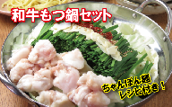 AE-4　【九州醤油スープ】和牛もつ鍋セット（ちゃんぽん麺付き）