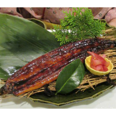 室戸の炙り鯖寿司とうなぎの蒲焼きセット 48914 - 高知県室戸市