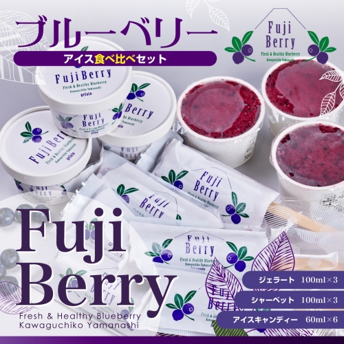 【2023年1月中旬以降発送】Fuji Berry ブルーベリーアイス食べ比べセット