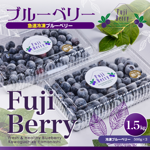 Fuji Berry 急速冷凍ブルーベリー1.5kg FAZ109 489180 - 山梨県富士河口湖町