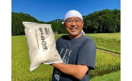 超大粒米「いのちの壱」5kg米農家28年の経験をすべて注ぎ込んだ山ちゃん本気の限定米 