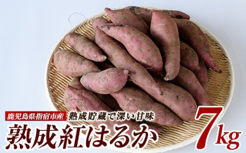 【2025年11月中旬～発送】指宿産 紅はるか 約7kg(アグリスタイル/A-301) 鹿児島 サツマイモ 薩摩芋 指宿市 焼芋 やきいも 焼きいも スイーツ おやつ デザート