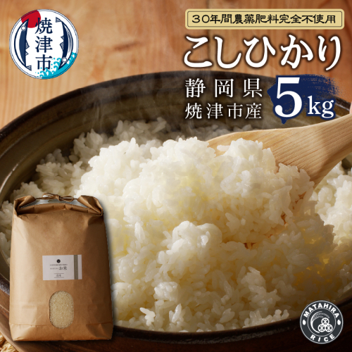 a21-037 新米 30年間無農薬・無肥料のお米(白米)コシヒカリ5kg 490074 - 静岡県焼津市