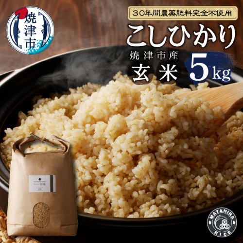 a21-038　新米 30年間無農薬・無肥料のお米（玄米）コシヒカリ5kg
