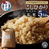 30年間無農薬・無肥料のお米(玄米)コシヒカリ5kg