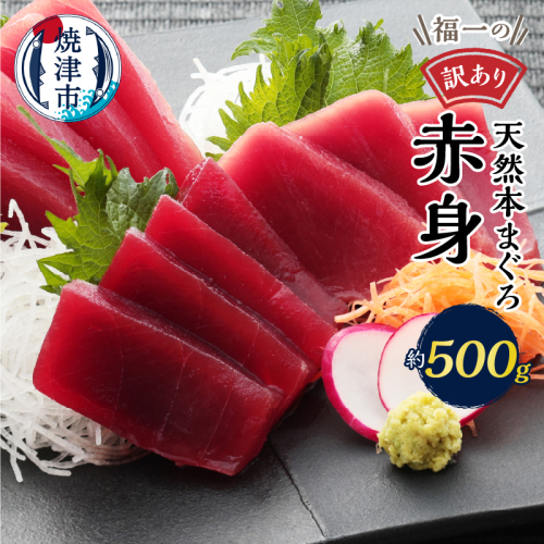 a10-1077　マグロ 赤身 訳あり 刺身 ホンマグロ 天身 約500g 490078 - 静岡県焼津市