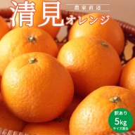 AN6107n_清見オレンジ訳あり5kgサイズ混合（2025年2月下旬より順次発送）