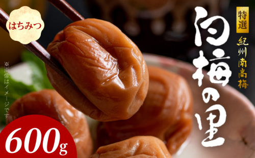 SF2007_特選紀州南高梅「白梅の里」はちみつ　600ｇ 490335 - 和歌山県湯浅町