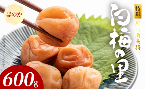 SF2005_特選紀州南高梅「白梅の里」ほのか　600ｇ 490337 - 和歌山県湯浅町