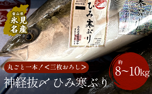 ひみ寒ぶり 朝どれ1本 三枚おろし（神経抜〆：8～10kg）【半七】※配送地域限定 490665 - 富山県氷見市