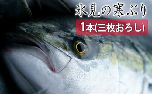 氷見の寒ぶり一本（三枚おろし）真空パック【ひみ水産】※配送エリア限定※ 490713 - 富山県氷見市