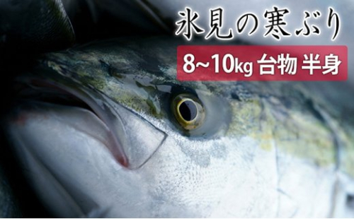 ＜半身＞氷見の寒ぶり　8～10kg台物 真空パック【ひみ水産】※配送エリア限定※ 490714 - 富山県氷見市