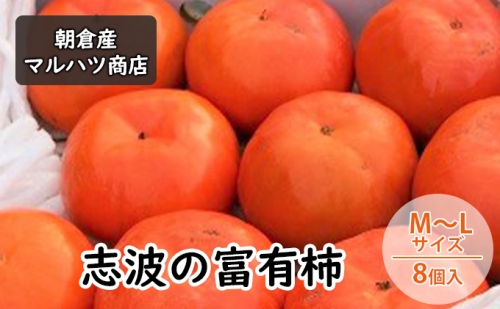 柿 志波の富有柿 M～Lサイズ×8個入 マルハツ商店 490733 - 福岡県朝倉市